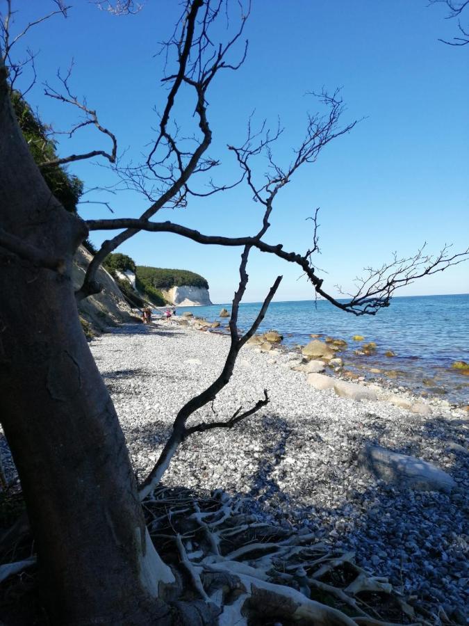 Ferienwohnung "Kranich" Im Ferien-Resort Ruegen Sagard Eksteriør bilde